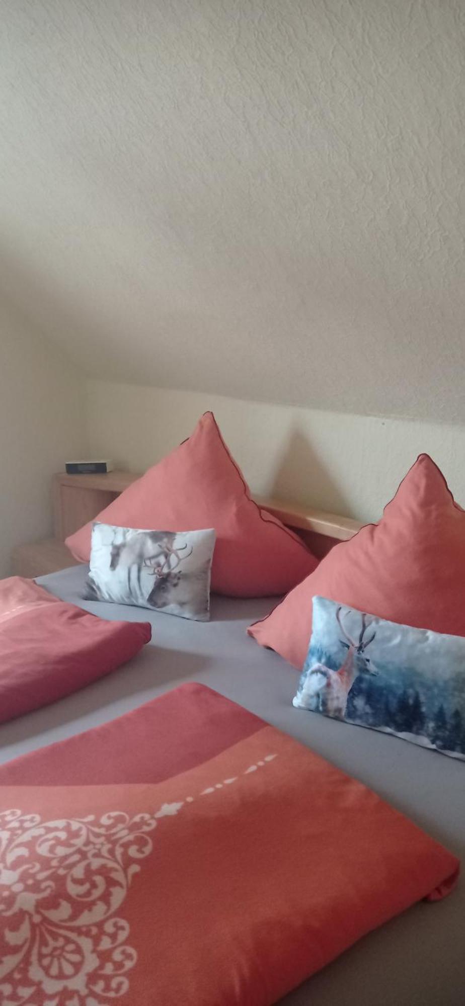 Liebscher Apartment *